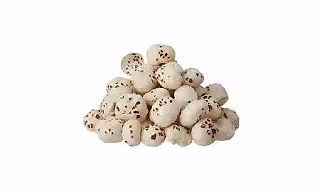 Fox nut