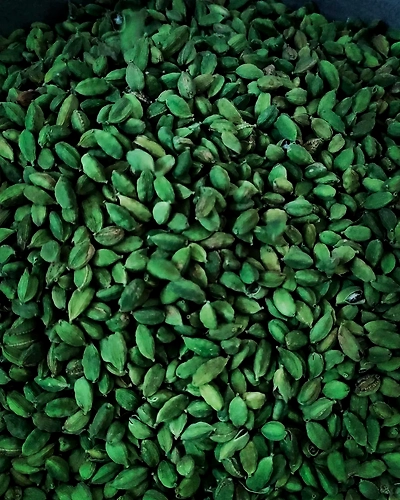Green Cardamom 7-8 mm-12236776