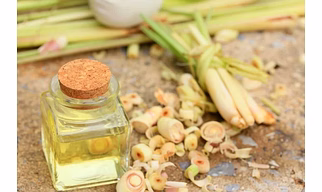 Lemongrass Oil