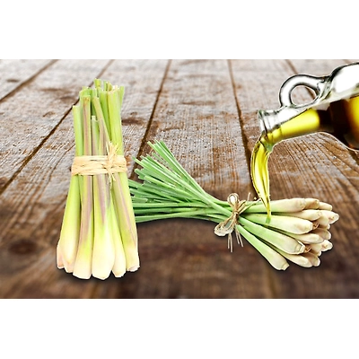 Lemongrass Oil-2