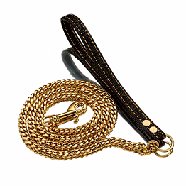 dog chain