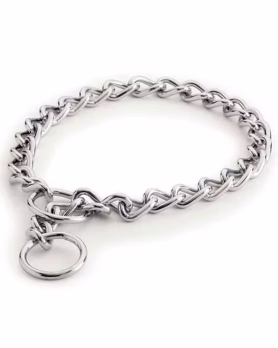 Choke Chain Dog Collar-12238958