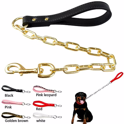 dog chain