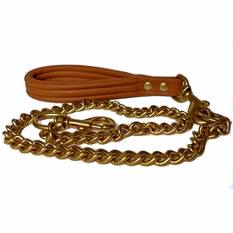 dog chain with leather collar