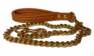Dog chain with leather collar