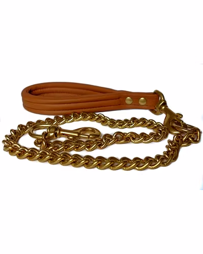Dog chain with leather collar-12238926