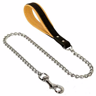 premium dog chain and attached leather collar
