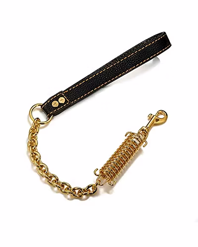 Titanium Steel P Chain Pet Spring Buffer Large Dog Traction Rope Explosion-proof-12238930