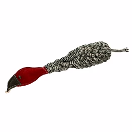 pet me bottle bird dog toys
