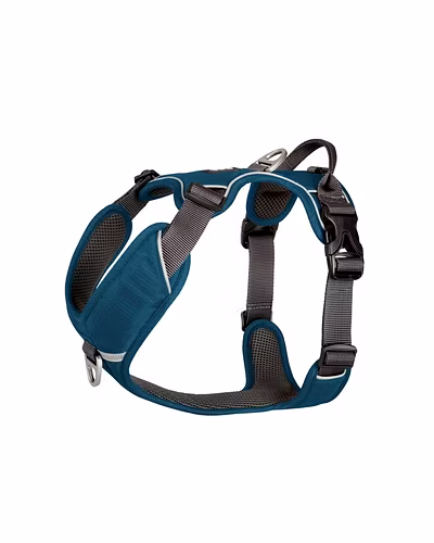 Comfort Walk Pro Harness (Blue)-12242742