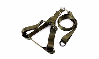 Large Dog Harness Walking Leash