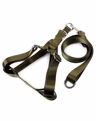 Large Dog Harness Walking Leash-12242744