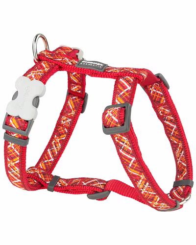 Dog Harness-12242474