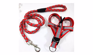 Nylon Padded Red adjustable Dog Harness Dog Leash Rope