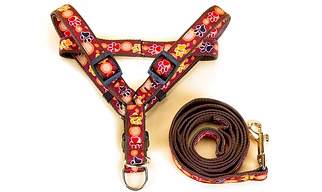 Pet hand holding rope cat traction belt dog small and medium-sized dogs cowboy dog chain