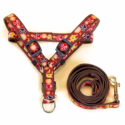 pet hand holding rope cat traction belt dog small and medium-sized dogs cowboy dog chain