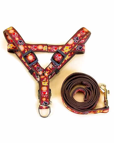 Pet hand holding rope cat traction belt dog small and medium-sized dogs cowboy dog chain-12242450