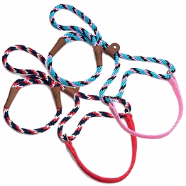 big dog walker, (nylon leash)