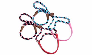 Big Dog Walker, (NYLON LEASH)