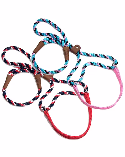 Big Dog Walker, (NYLON LEASH)-12239636