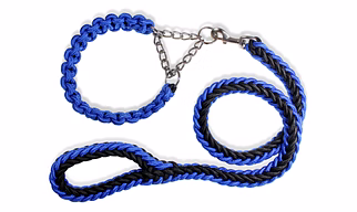 Fancy Dog Collar & Leash