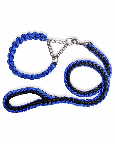 Fancy Dog Collar &amp; Leash-12239558