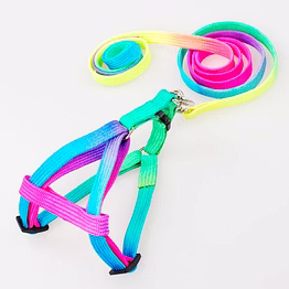 doggie pet nylon rope lead adjustable dog harness leash collar set -colorful