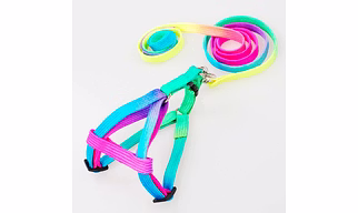 Doggie Pet Nylon Rope Lead Adjustable Dog Harness Leash Collar Set -Colorful