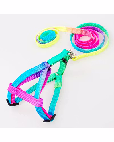 Doggie Pet Nylon Rope Lead Adjustable Dog Harness Leash Collar Set -Colorful-12239516