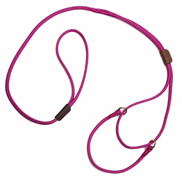 dog slip lead