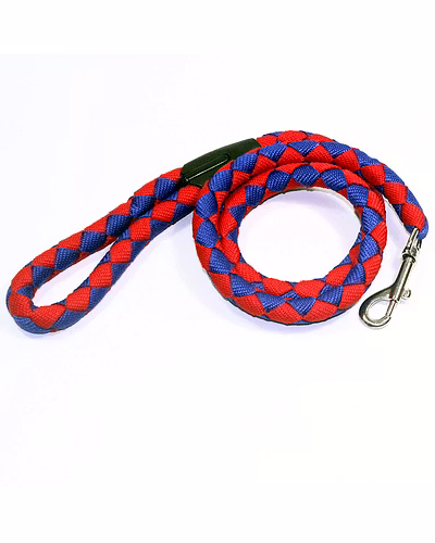 DOG traffic leash-4