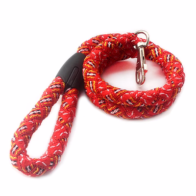 dog traffic leash