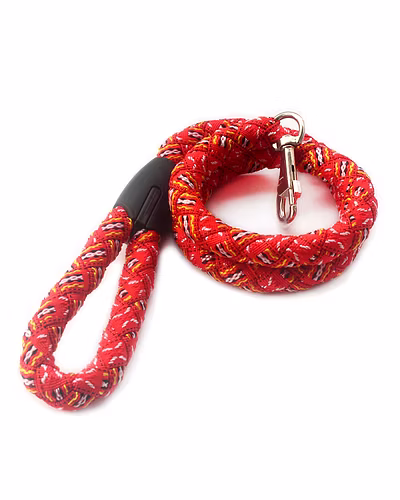 DOG traffic leash-12242832