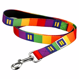 rainbow pride dog leash