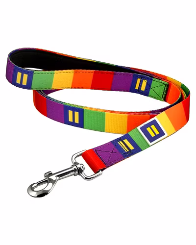 Rainbow Pride Dog Leash-12242794