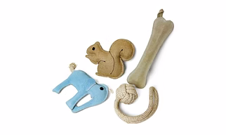 play GYM toy for Dog