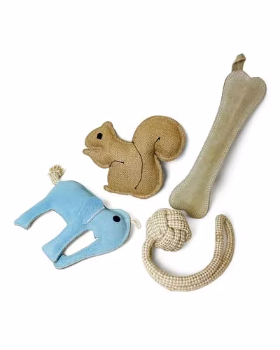 play GYM toy for Dog-12243340