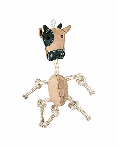 Eco Friendly Dog Toy-12243270