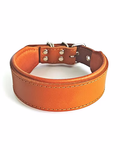 Luxe Leather Dog Collar,-4