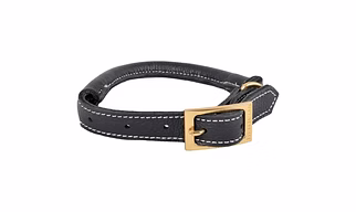 Adjustable Leather Dog Collar