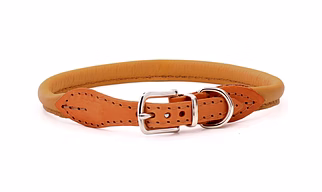 plain leather collar
