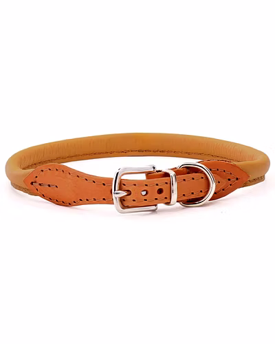 plain leather collar-12243544
