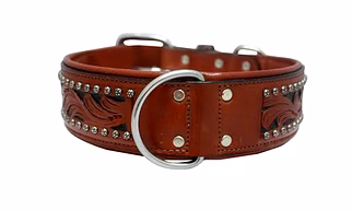 Genuine leather dog collar.