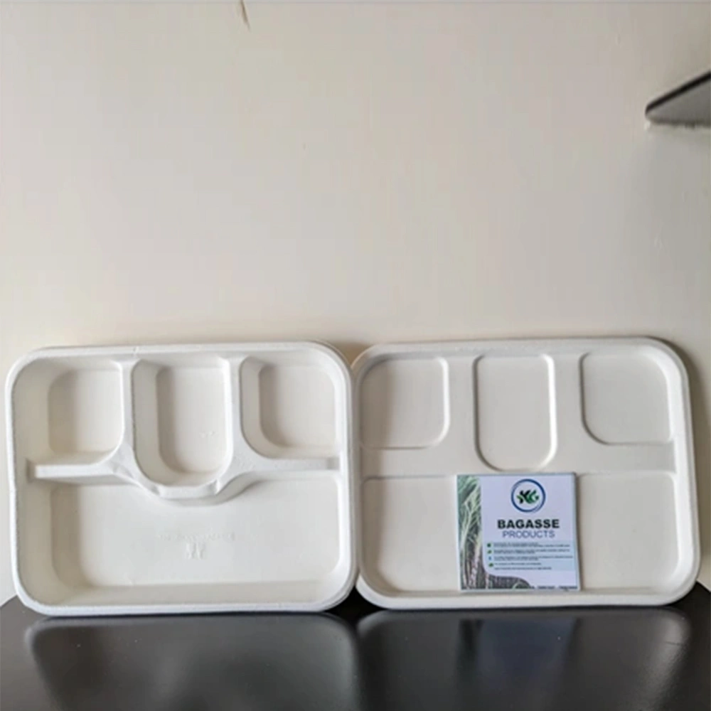 SQUARE MEAL TRAY 4 CP WITH LID, eco-friendly and sustainable.