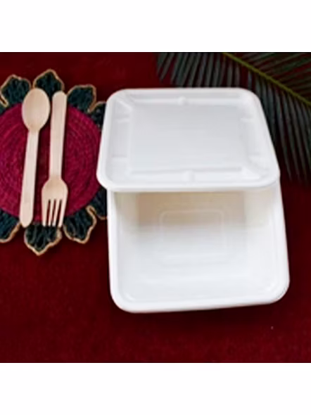 CLAMSHELL RECTANGLE BOX, eco-friendly and sustainable.