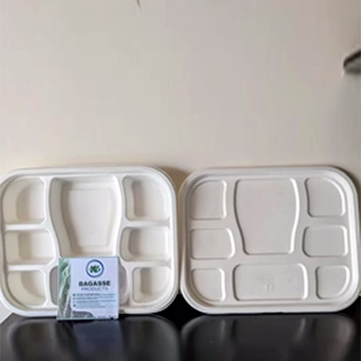 8 cp meal tray with lid