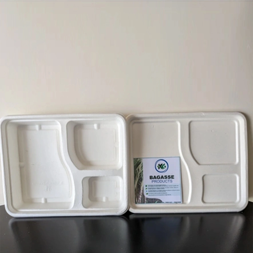 3 CP MEAL TRAY WITH LID, eco-friendly and sustainable.