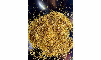 Chilli Seeds (Garde A & B)