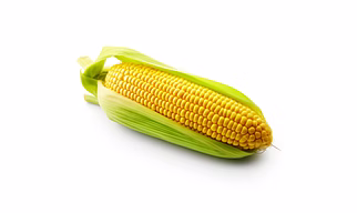Corn