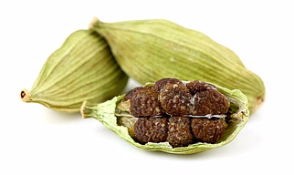 CARDAMOM